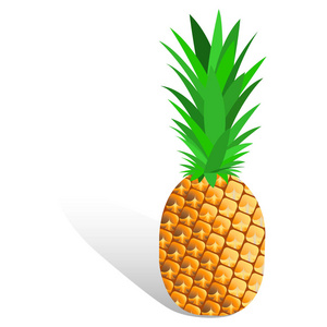 成熟的菠萝热带水果。 健康生活方式的夏季水果。 菠萝水果平面图标隔离在白色背景上。 矢量插图eps10。