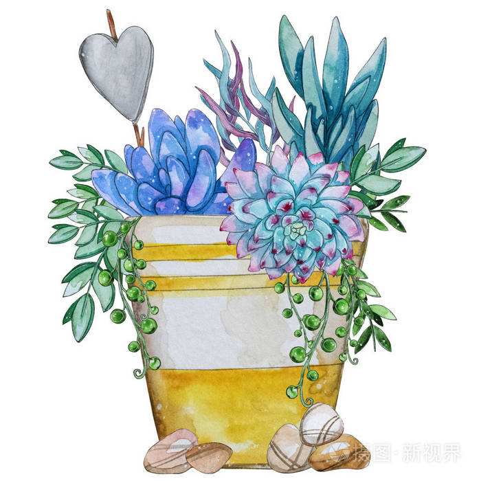 水彩手绘多汁植物组成 水彩剪贴画单独的花隔离在白色背景上 完美的你的项目覆盖壁纸图案 厚纸 照片 正版商用图片 摄图新视界