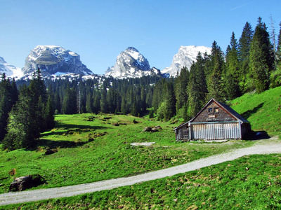 瑞士圣加伦州丘尔弗宁山脉山坡上的高山畜牧场和马厩