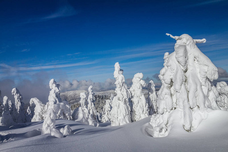 白雪皑皑的冬季景观的美丽景色。 从斯洛伐克欧洲的库宾斯卡奥拉山观看。