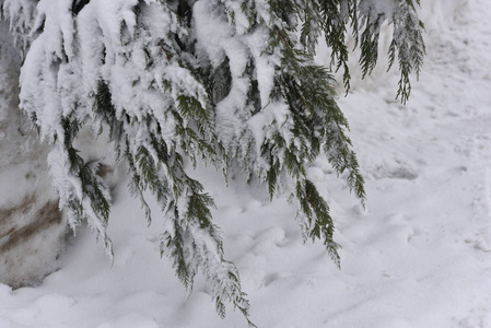 山上的雪山景观