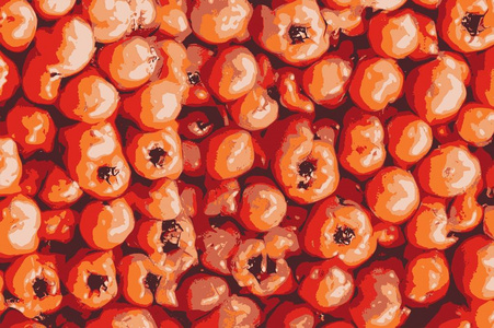 番茄质地，市场上的抽象红番茄，俯视图