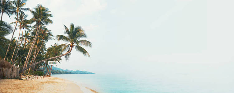热带海滩有椰子棕榈树。泰国苏梅岛图像