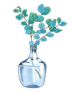 玻璃花瓶里有叶子的绿色树枝。 水彩插图的树枝与新鲜的生活在花瓶隔离在白色背景。