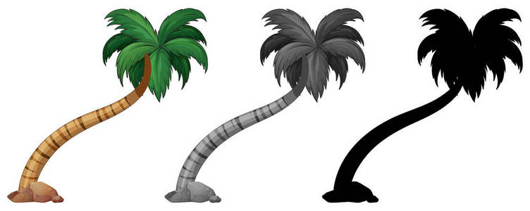 一组棕榈树插图