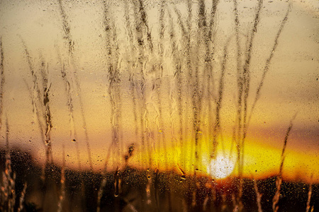 水滴在窗玻璃上，外面有美丽的离焦风景。 背景