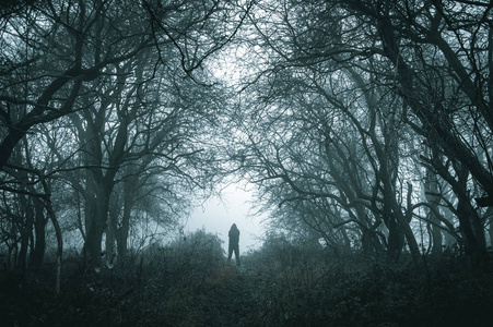 冬天，在一片雾蒙蒙的森林里，一个幽灵般的戴着兜帽的人在一条小径上，用暗哑的声音编辑。