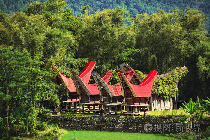 通科南村传统水稻谷仓塔娜托拉贾苏拉韦西印度尼西亚