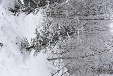 山上的雪山景观