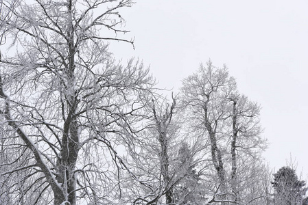 山上的雪山景观