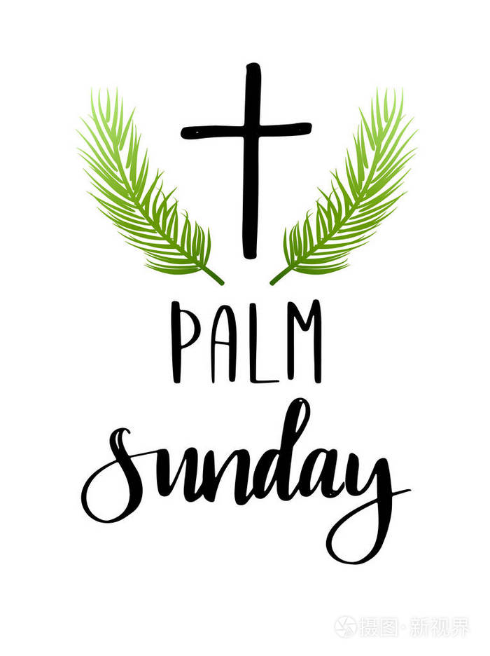 基督教节日的矢量插图. 棕榈周日手写短语. 白底书法引文