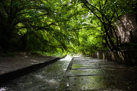 基辅莱比德河的混凝土河床和河岸