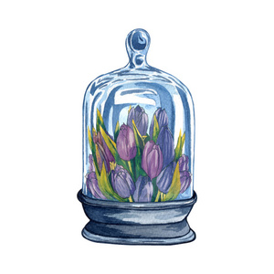 收集花艺馆水彩玻璃瓶与花内手绘白色背景隔离。 带有粉红色郁金香的水彩罐子。