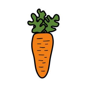 胡萝卜新鲜孤立的图标