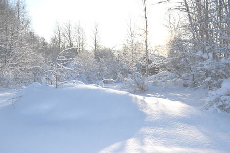 雪雪路上的房子