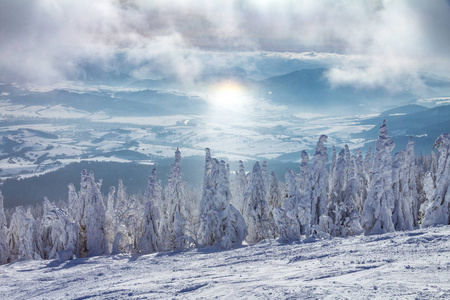 白雪皑皑的冬季景观的美丽景色。 从斯洛伐克欧洲的库宾斯卡奥拉山观看。