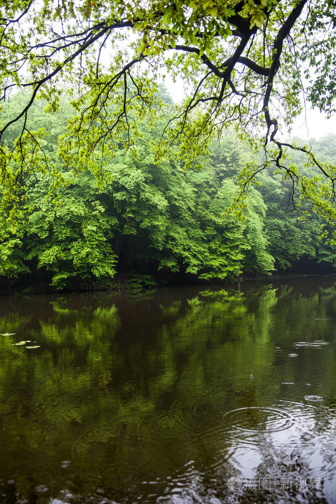 水边绿树成荫.