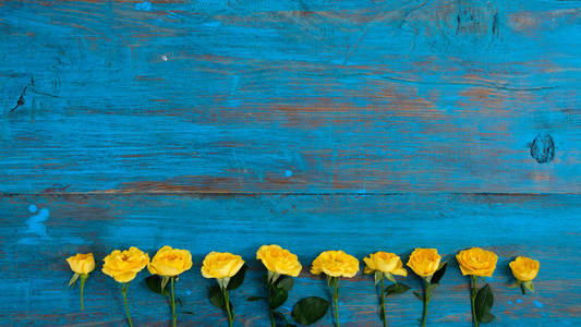 蓝色木制背景上黄色的花框。复活节，春花