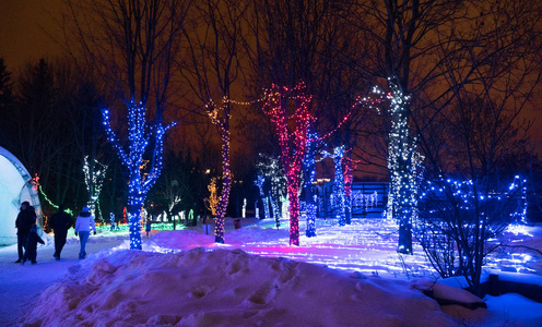 圣诞灯装饰发光的树