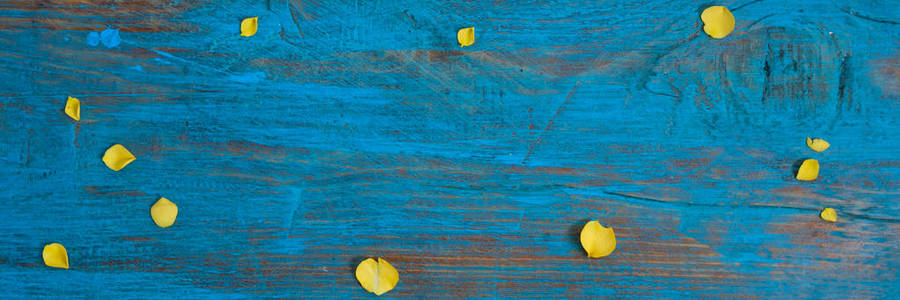 花的组成..用黄色的花在蓝色的木制背景上做成的框架。复活节，春天，夏天的概念。平躺，上铺