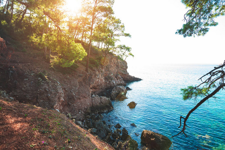 地中海的绿松石水域，周围是岩石海岸，覆盖着郁郁葱葱的松树，在一个阳光明媚的海滩卡巴克，土耳其的旅游地标。 广角复古形象。