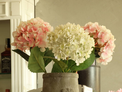 花瓶里的粉红色和白色球花