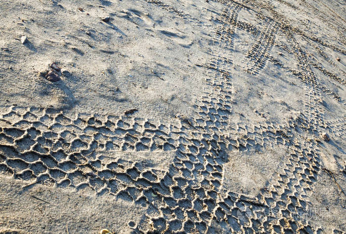 雨后车轮在潮湿的沙子上留下痕迹