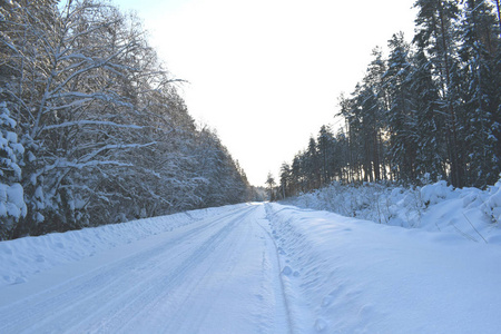 森林里覆盖着雪的道路