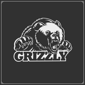 一个运动队用灰熊的徽章。 t恤的印刷设计。