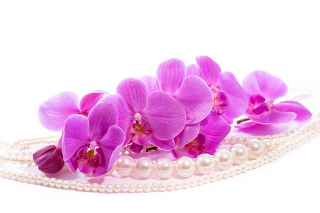 兰花，粉红色兰花和珍珠的分支。 贺卡。 美丽的构图。 在白色背景下分离