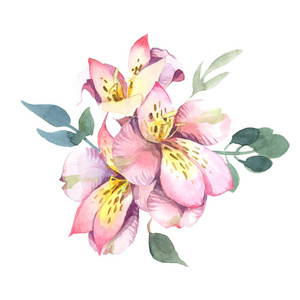 淡粉色花朵和绿叶的水彩插图。 牡丹花束和蓝花花束分离在白色背景中。 婚礼和情人节贺卡的花卉元素
