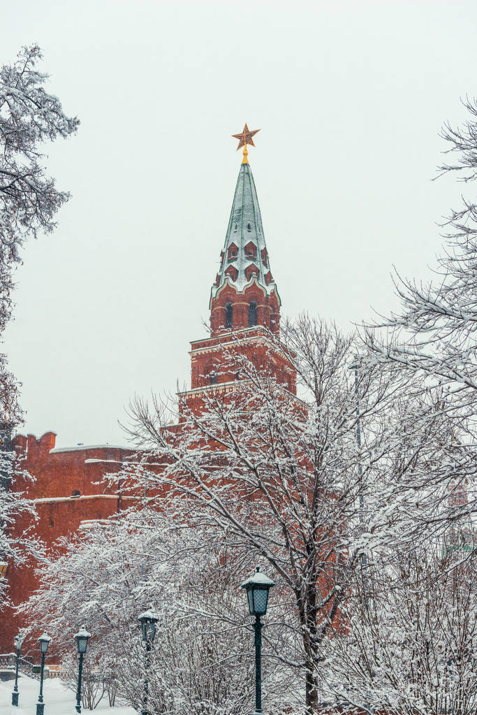 克里姆林宫的塔楼前景是一棵白雪覆盖的树冬天莫斯科俄罗斯