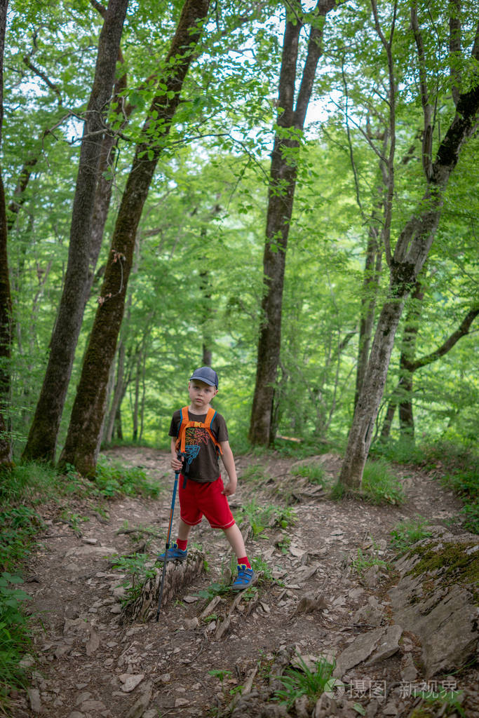 一个带着背包和徒步旅行杆的男孩站在绿色森林里的岩石小径上