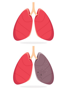 肺的矢量图
