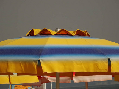黄色和蓝色海滩日光浴顶部