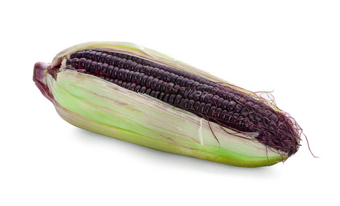 白色背景上分离的紫色玉米