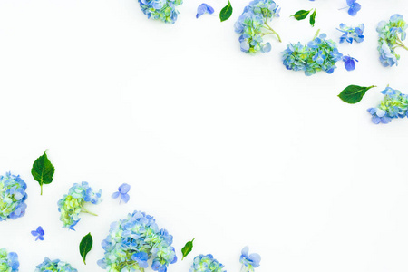 白色背景上蓝色绣球花和叶子的花框。 平躺顶部视图。