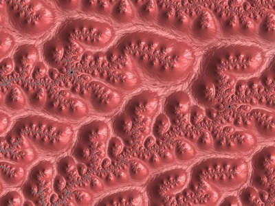 珊瑚重复设计图片