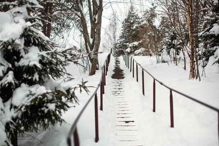 霜雪的冬天，在村里的街道上。