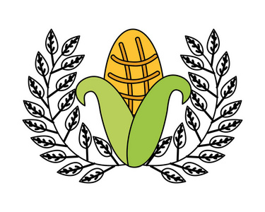 玉米叶新鲜有机会徽