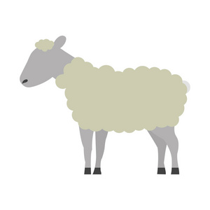 绵羊动画片动物野生动物