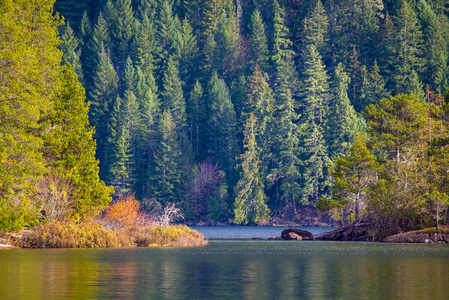 秋季柯伊坎湖戈登湾景色，摄于加拿大温哥华岛