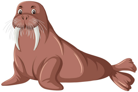 白色背景插图上的海象海象可爱卡通海豹海象矢量海狮在冰插图涂鸦可爱