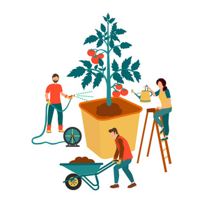 矢量景观园艺师新草坪铺草皮的特写高级园艺师园艺师的卡通片要种植一