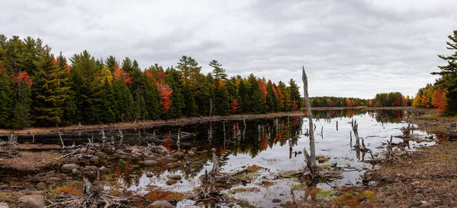 美丽的加拿大景观在秋季湖边。 摄于加拿大新斯科舍大湖流。