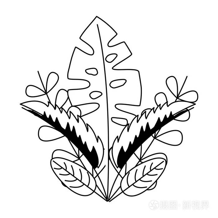 叶叶棕榈热带插画-正版商用图片185oeh-摄图新视界