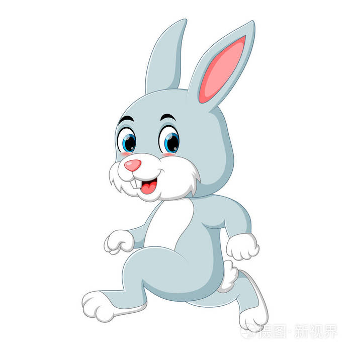 一只可爱的兔子在跑