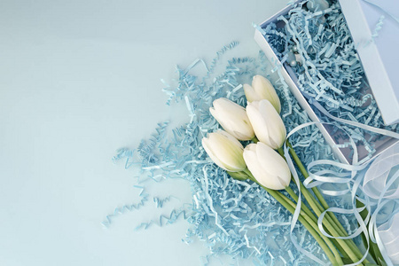 春季背景与白色郁金香与礼品盒在蓝光颜色顶部视图平躺。