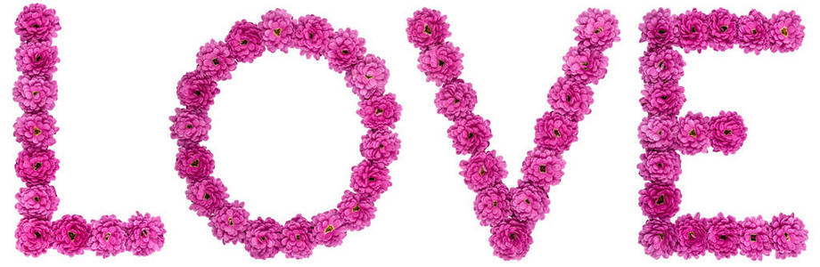 从白色背景上分离出的天然粉红色菊花的一组字母