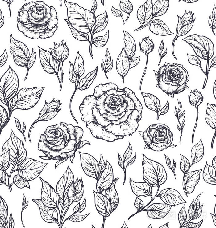 无缝的图案与图形玫瑰花, 向量花无尽的背景